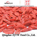 Oval Shape and Dried, Snack Style 2014 New Harvest Dried Goji Berries
